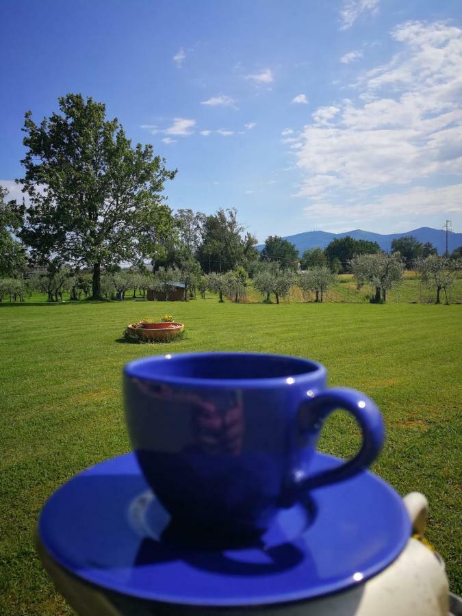Bed & Breakfast La Fornace Del Sole Capannori